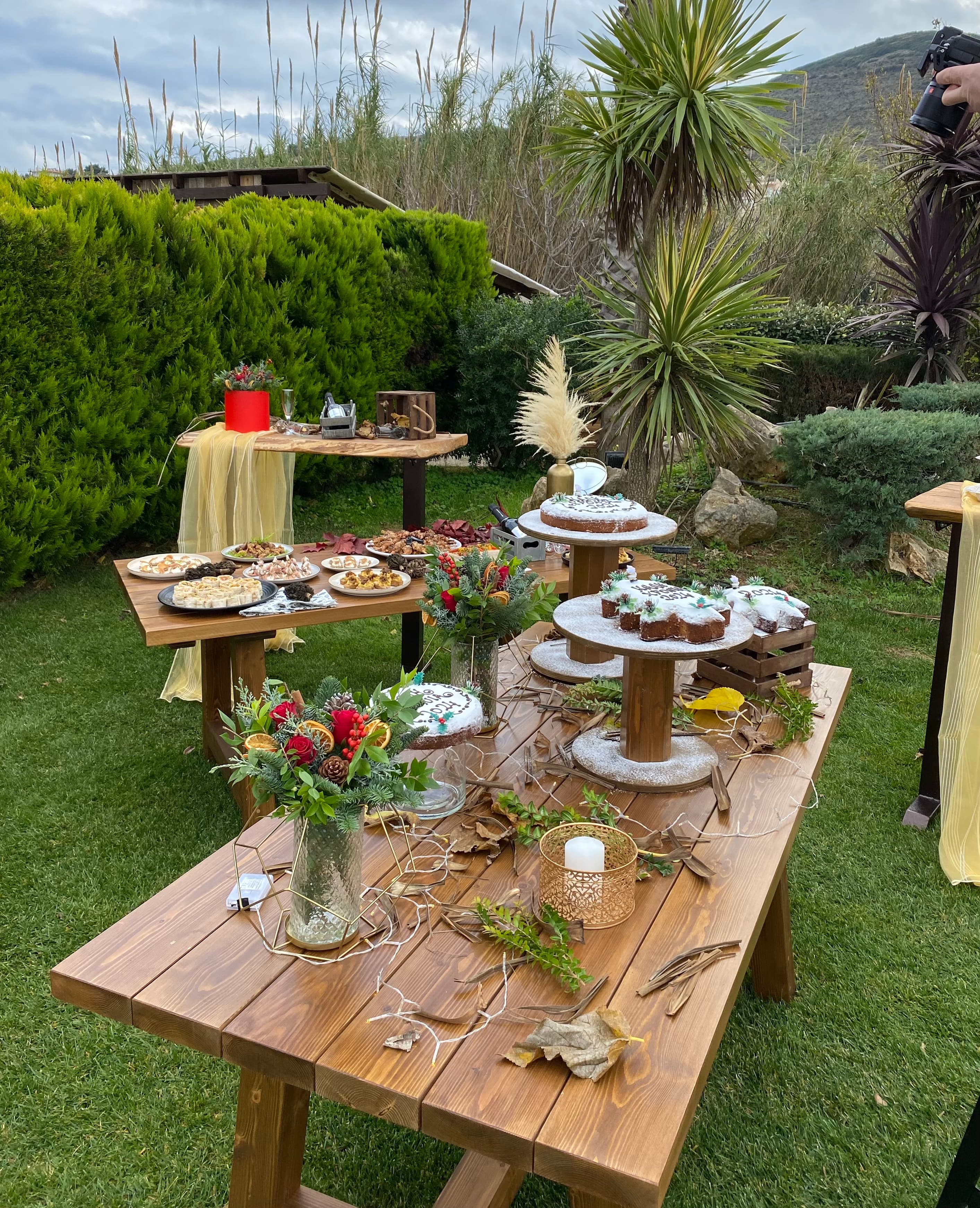 Garden with lighting and decoration