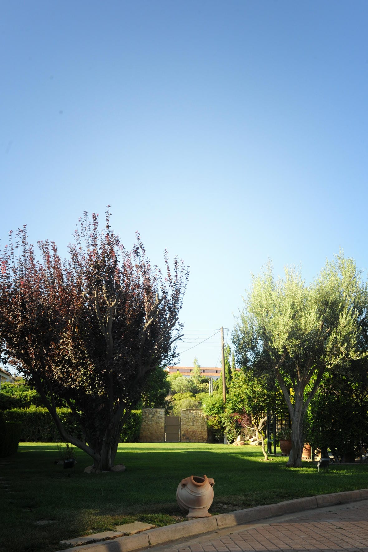 Gallery image 5