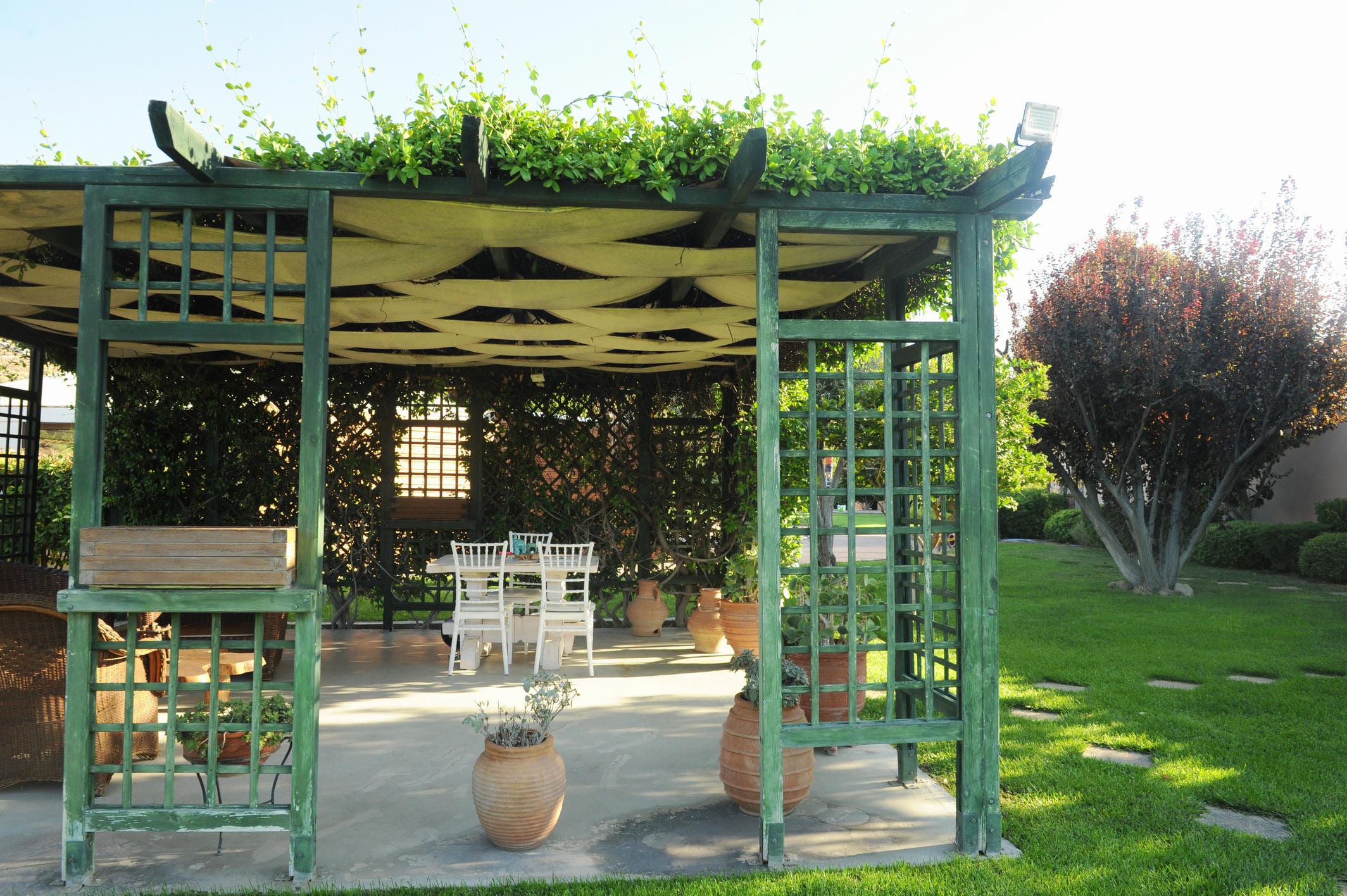 Gallery image 6
