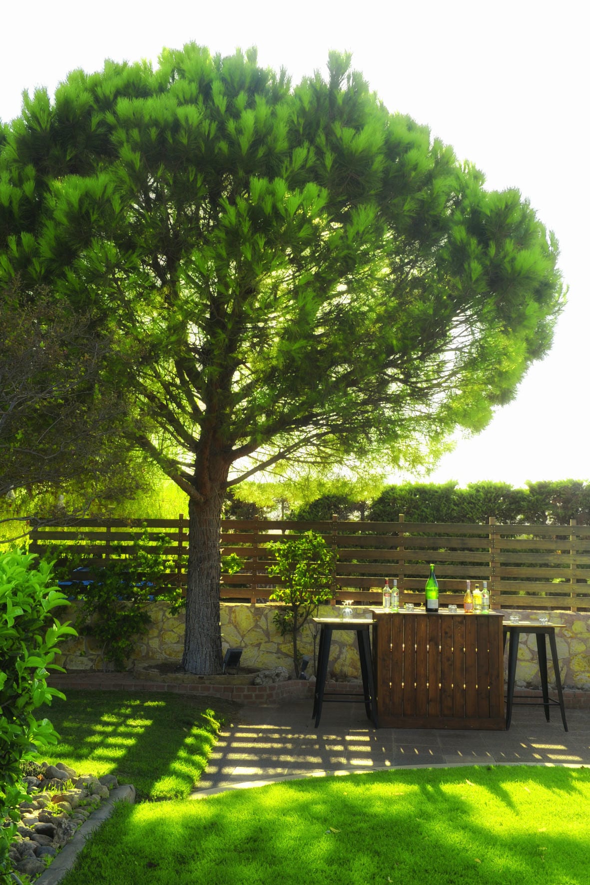 Gallery image 12