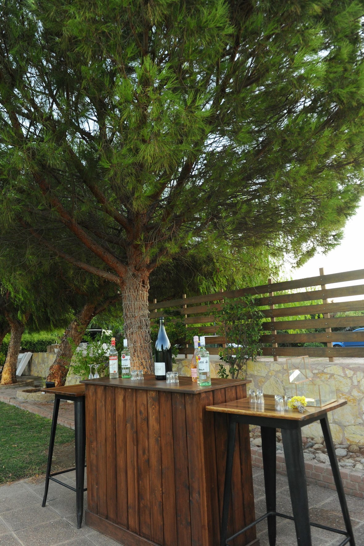 Gallery image 52